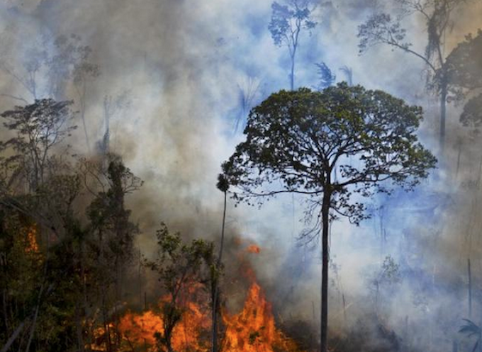 Climate wildfires