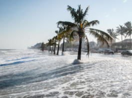 Coastal flooding in Fort Lauderdale, Florida.