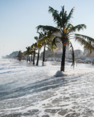 Coastal flooding in Fort Lauderdale, Florida.