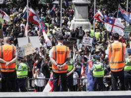 Covid protest at NZ Parliament