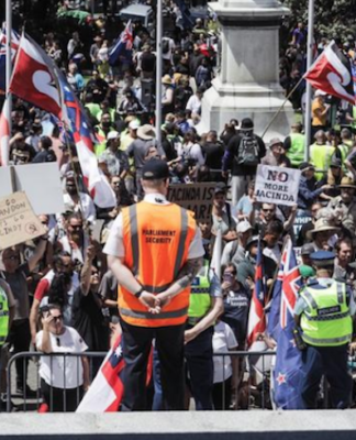 Covid protest at NZ Parliament