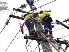 PNG Power linesmen