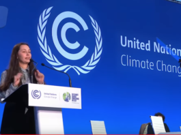 Māori climate activist India Logan-Riley