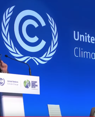 Māori climate activist India Logan-Riley