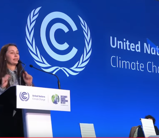 Māori climate activist India Logan-Riley