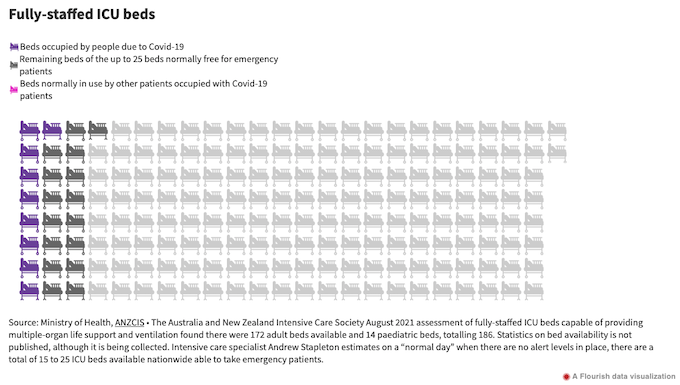 ICU beds in New Zealand