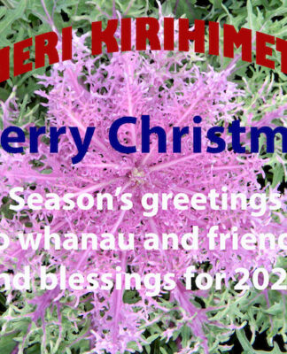 Meri Kirihimete!