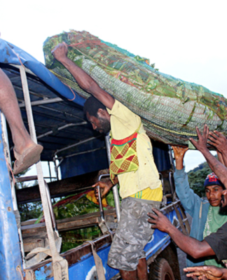 "Dignity" PMV crew loading a truck with produce