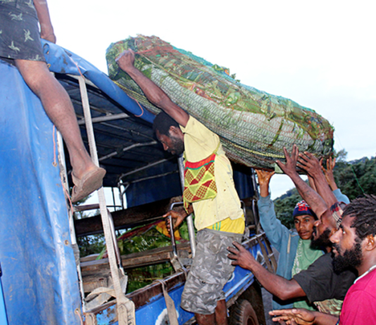 "Dignity" PMV crew loading a truck with produce
