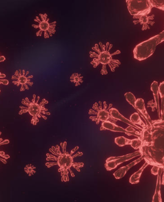Six of the omicron cases reported in Auckland
