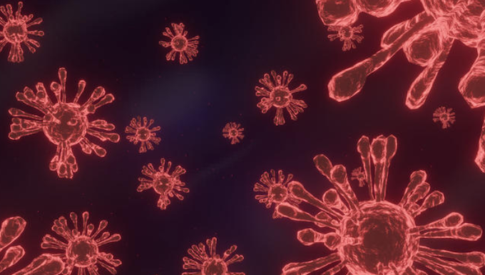 Six of the omicron cases reported in Auckland