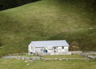 Rural people must connect now