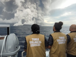 Tongan geologists view the Hunga eruption