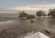 Tsunami waves in Tonga