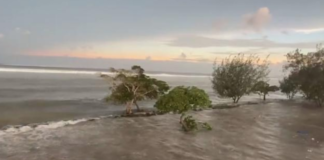 Tsunami waves in Tonga