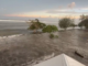 Tsunami waves in Tonga