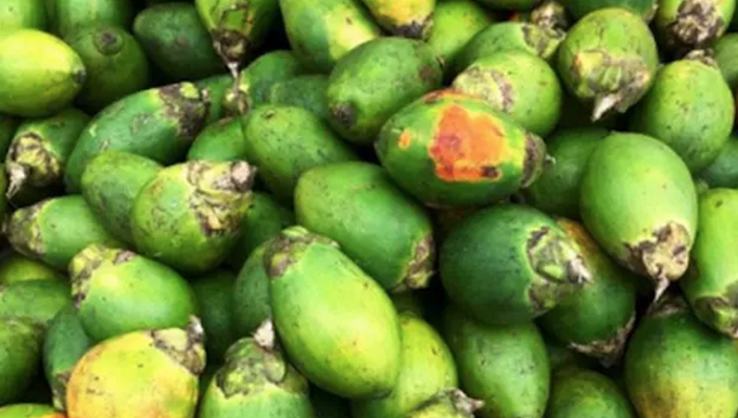 betelnut