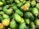 betelnut