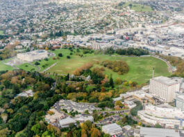 The Auckland Domain