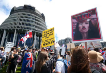 The current occupation of Parliament grounds this month has seen disturbing references to Nazism and the Holocaust