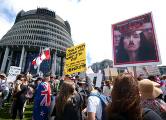 The current occupation of Parliament grounds this month has seen disturbing references to Nazism and the Holocaust