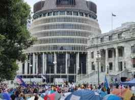 The scene in the grounds of New Zealand's Parliament early on in the anti-vaccine mandates protest