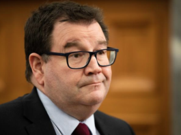 Deputy PM Grant Robertson on the right to protest