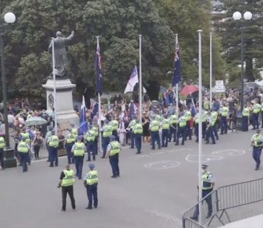 More than 50 police form a ring around the front of New Zealand's Parliament