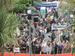 The protest at NZ's Parliament