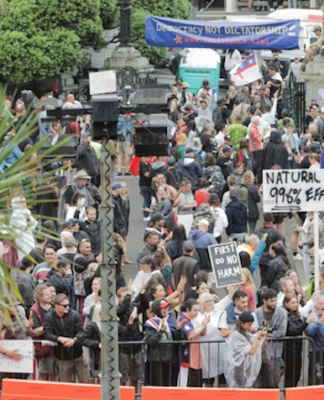The protest at NZ's Parliament
