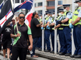 Protesters walk with flags on the grounds around Parliament building