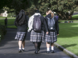 The omicron variant is spreading widely in New Zealand schools