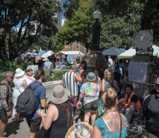 Protesters outside Parliament