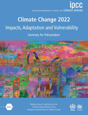 The Climate Change 2022 report 