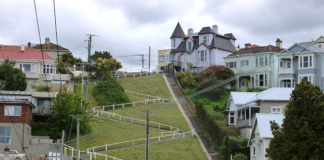Suburban housing in Dunedin