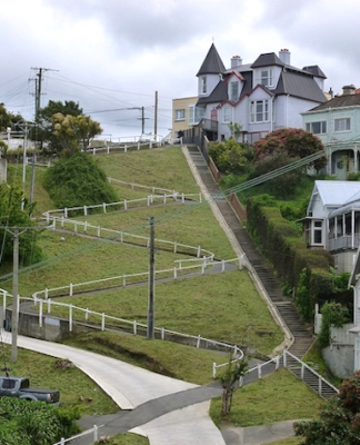 Suburban housing in Dunedin