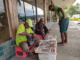 Newspaper street vendors in Honiara.