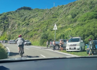 Protesters parked at the northern end of Miramar Peninsula