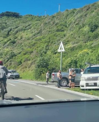 Protesters parked at the northern end of Miramar Peninsula