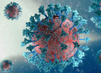 Omicron outbreak