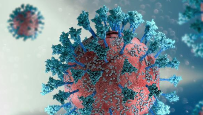Omicron outbreak