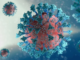 Omicron outbreak
