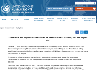 UN report on Indonesia's "serious Papuan abuses"