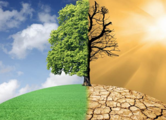 Latest ICPP report shows that the global emissions over the last decade highest ever