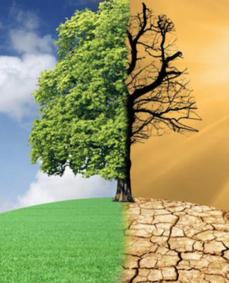 Climate change: IPCC scientist warns world ‘pretty much out of time’ Latest ICPP report shows that the global emissions over the last decade highest ever