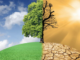 Latest ICPP report shows that the global emissions over the last decade highest ever