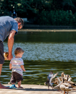 ‘You feel a little bit less cautious’ – families adjusting to covid rules Playgrounds buzzing on the first day of the New Zealand's school holidays in the covid orange alert setting