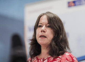 Director of Public Health Caroline McElnay