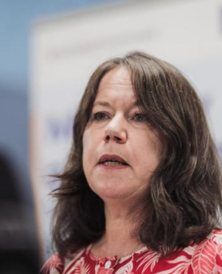 Director of Public Health Caroline McElnay