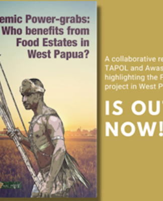 Indonesia's food estates land grab